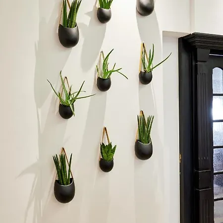 Mercure Center מלון